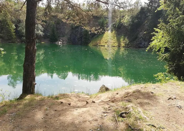 Bergwiese Apartament Schwarzenbach am Wald